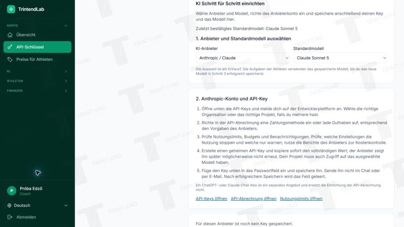 Konto → API-Schlüssel: Anbieter, Standardmodell und Hilfe zum Anbieterkonto.