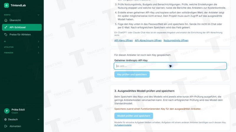 Eingabefeld für den geheimen Key, danach getrennte Buttons zum Speichern von Key und Modell.