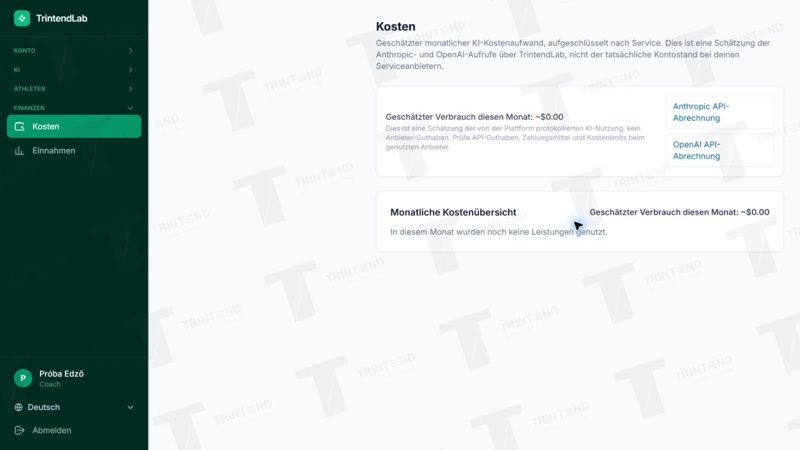 Finanzen → Kosten: geschätzte KI-Nutzung und Links zur Anbieterabrechnung.