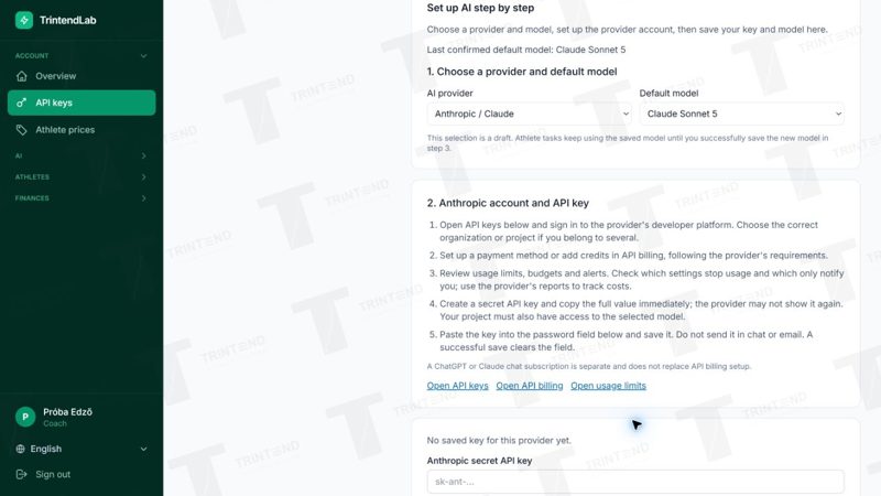 Account → API keys: provider, default model and help with the provider account.