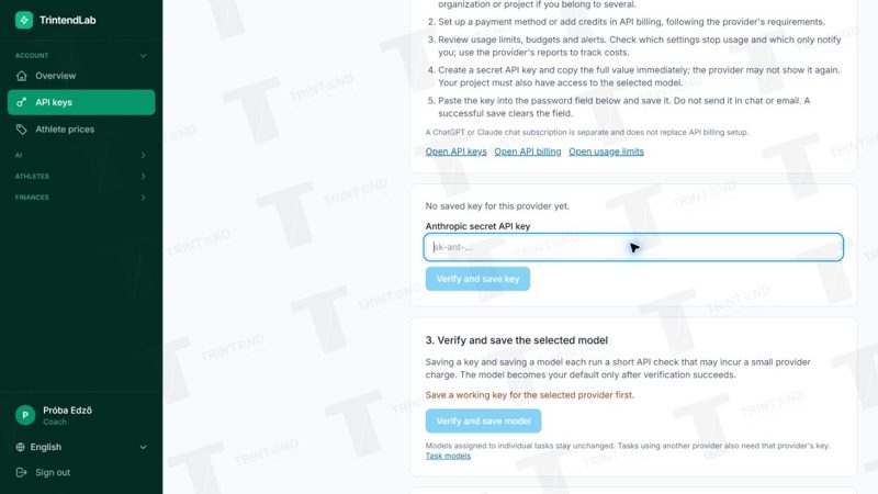 Where to paste the secret key, followed by separate key and model save buttons.