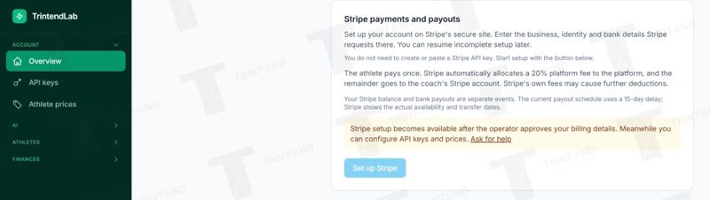 Account → Overview → Stripe: this test account needs approval first.