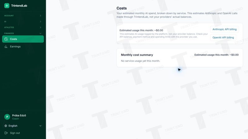 Finances → Costs: estimated AI usage and provider billing links.