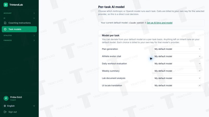 AI → Task models: a separate model for each task; changing these is optional when starting.