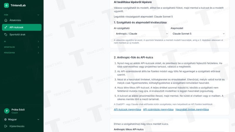 Fiók → API-kulcsok: szolgáltató, alapmodell és segítség a szolgáltatói fiókhoz.