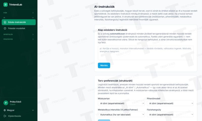AI → Edzés-instrukciók: saját instrukció és tervezési preferenciák.