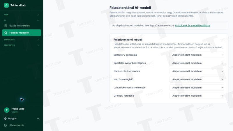 AI → Feladat-modellek: külön modell egy-egy feladathoz; induláskor nem kötelező módosítani.